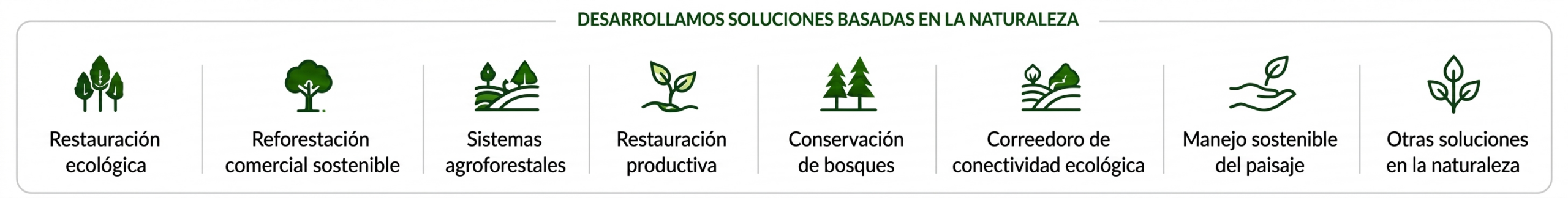 Desarrollamos Soluciones Basadas en la Naturaleza