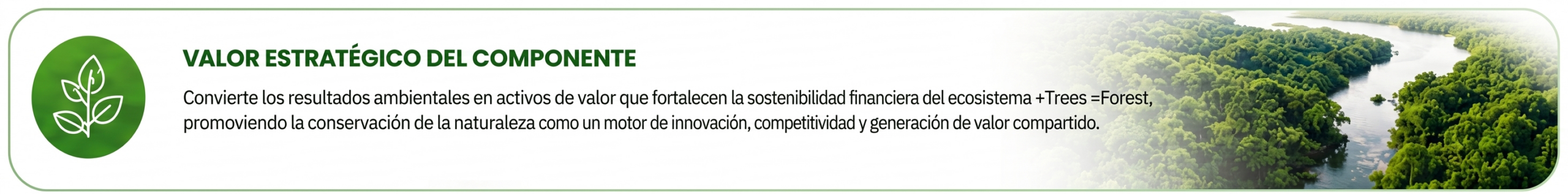 Valor Estratégico del Componente