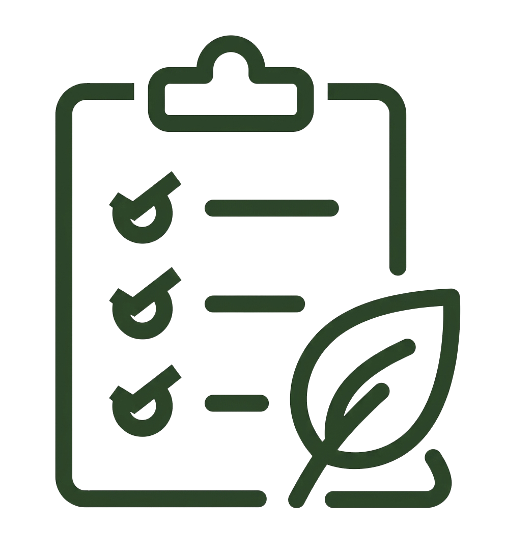 Diseño Técnico y Estructuración