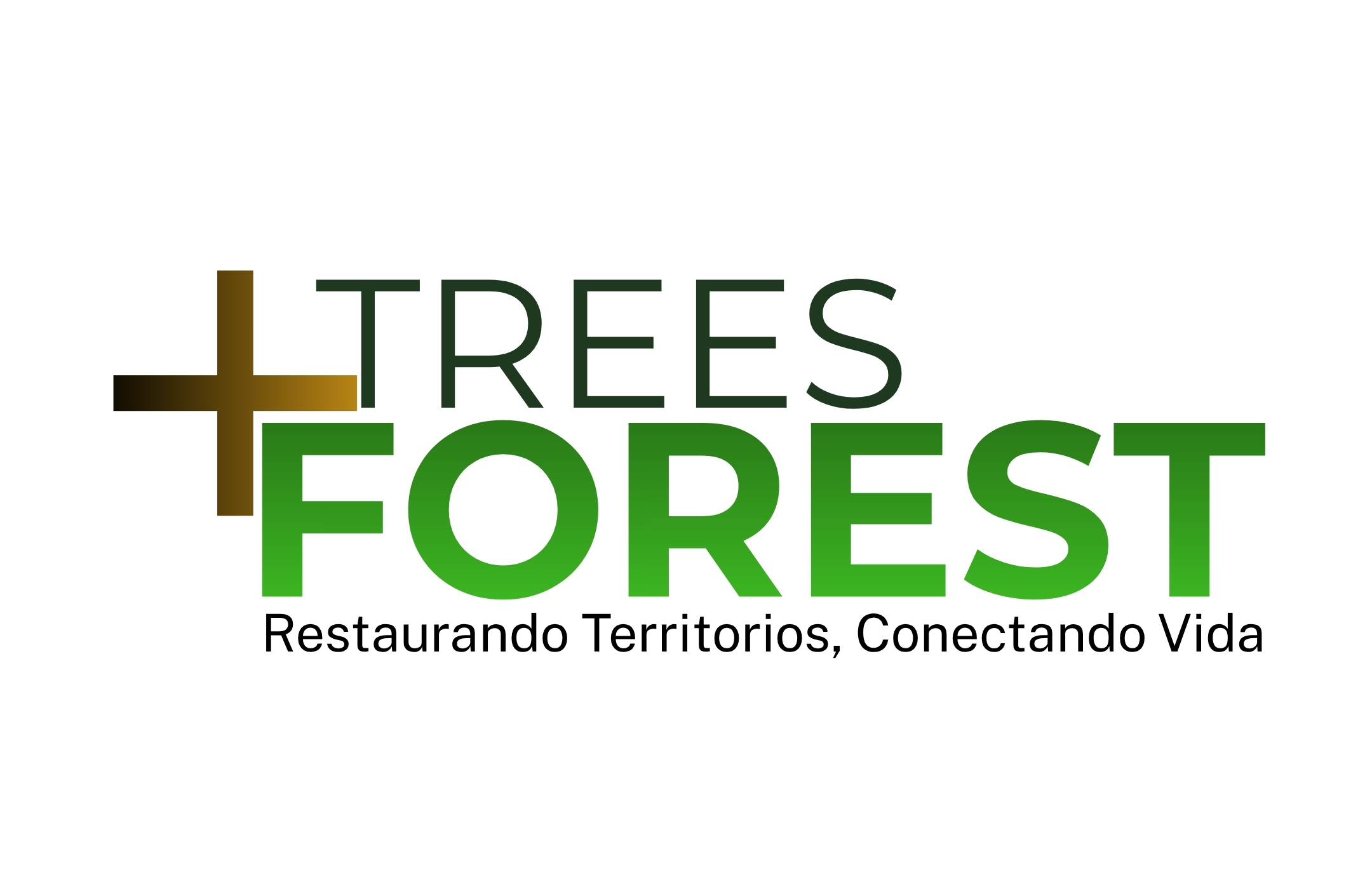 Logo TreesForest